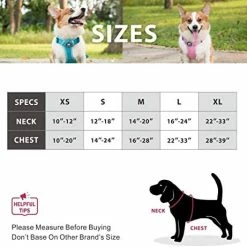New 🌟 Mia's Pet Supply Leashes And Harness PoyPet Reflective Soft Breathable Mesh 🐶 Dog Harness 🤩 16 Mia's Pet Supply Leashes And Harness PoyPet Reflective Soft Breathable Mesh Dog Harness