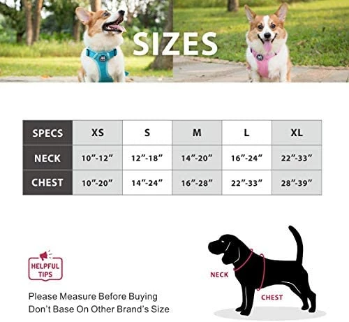 New 🌟 Mia's Pet Supply Leashes And Harness PoyPet Reflective Soft Breathable Mesh 🐶 Dog Harness 🤩 6 Mia's Pet Supply Leashes And Harness PoyPet Reflective Soft Breathable Mesh Dog Harness