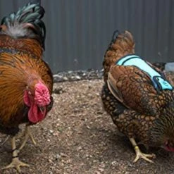 Mia's Pet Supply DOWN UNDER OUTDOORS Premium Chicken Saddle