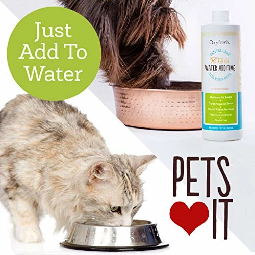 Budget 💯 Mia's Pet Supply : Oxyfresh Premium Pet Dental Care Solution (8oz): Hygiene 🧨 3 Mia's Pet Supply : Oxyfresh Premium Pet Dental Care Solution (8oz): Hygiene
