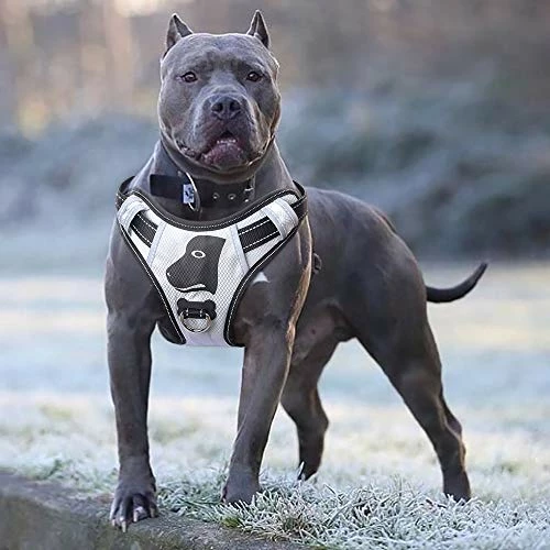 New 🥰 Mia's Pet Supply : Babyltrl Big 🦮 Dog Harness No-Pull Anti-Tear Adjustable 🎉 1 Mia's Pet Supply : Babyltrl Big Dog Harness No-Pull Anti-Tear Adjustable