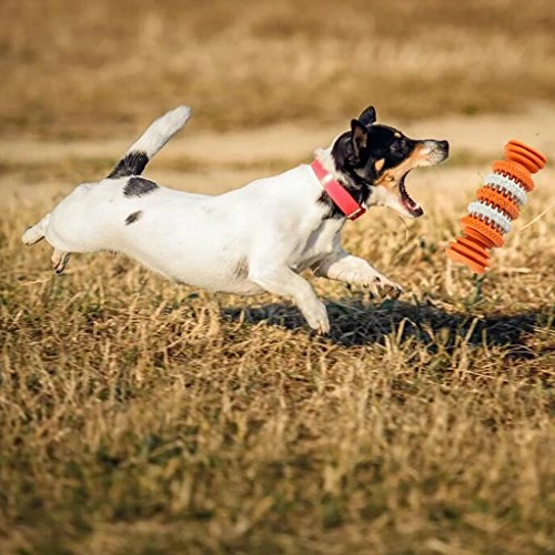 Best Sale ๐ Mia's Pet Supply ๐ Dog Treat Bone Nontoxic Dental Chew Bone ๐งจ 5 Mia's Pet Supply Dog Treat Bone Nontoxic Dental Chew Bone