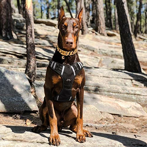 Buy β Mia's Pet Supply : Babyltrl Big πΆ Dog Harness No-Pull Adjustable Leashes And Harness π 5 Mia's Pet Supply : Babyltrl Big Dog Harness No-Pull Adjustable Leashes And Harness