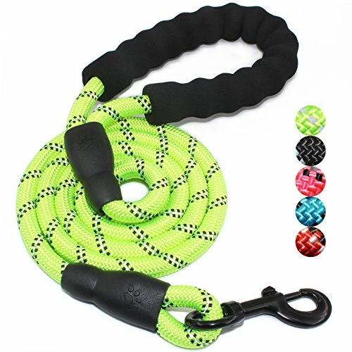 Cheapest 🎁 Mia's Pet Supply Strong 🐕 Dog Leash With Comfortable Padded Handle Leashes And Harness 👍 8 Mia's Pet Supply Strong Dog Leash With Comfortable Padded Handle Leashes And Harness