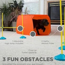 Mia's Pet Supply Outward Hound ZipZoom Indoor Dog Agility Training For Dogs : Outward Hound