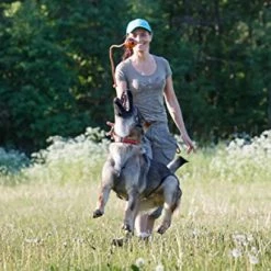 New 🔥 Mia's Pet Supply 🐕 Dog Toys : PlayfulSpirit Durable Natural Rubber Ball On A Rope 🔔 16 Mia's Pet Supply Dog Toys : PlayfulSpirit Durable Natural Rubber Ball On A Rope