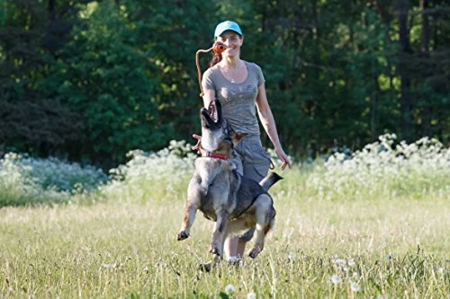 New 🔥 Mia's Pet Supply 🐕 Dog Toys : PlayfulSpirit Durable Natural Rubber Ball On A Rope 🔔 8 Mia's Pet Supply Dog Toys : PlayfulSpirit Durable Natural Rubber Ball On A Rope