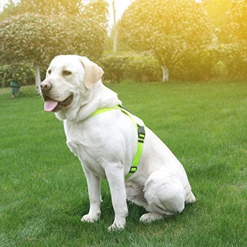 Best deal 🎉 Mia's Pet Supply Leashes And Harness NOYAL In Training 🐶 Dog Harness, Soft Breathable Mesh 🐶 Dog Vest Harness 🛒 5 Mia's Pet Supply Leashes And Harness NOYAL In Training Dog Harness, Soft Breathable Mesh Dog Vest Harness