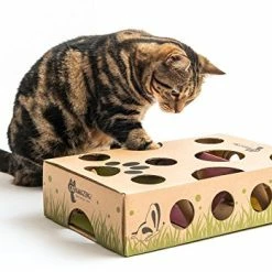 Mia's Pet Supply : Cat Interactive Treat Maze & Puzzle Feeder Cat Toys
