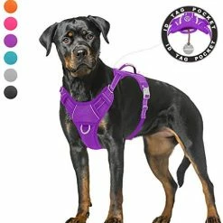 Mia's Pet Supply BARKBAY No Pull Dog Harness Large Step In Reflective Dog Harness Leashes And Harness