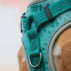 Mia's Pet Supply Embark Sports Dog Harness, Light And Breathable Design
