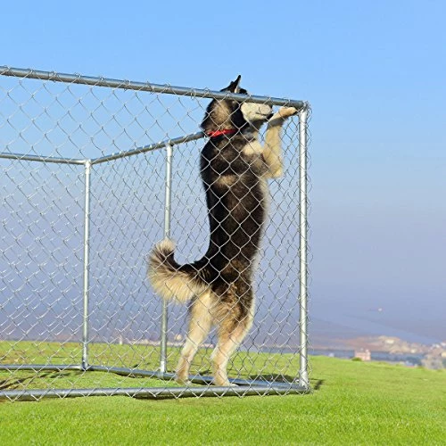 Buy 👏 Mia's Pet Supply Houses, Pens & Crates Large Pet Kennel Shade Cage 🌟 3 Mia's Pet Supply Houses, Pens & Crates Large Pet Kennel Shade Cage