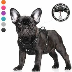 Mia's Pet Supply BARKBAY No Pull Dog Harness Large Step In Reflective Dog Harness Leashes And Harness