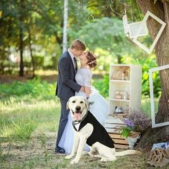 Mia's Pet Supply Formal Dog Tuxedo For Medium Large Dogs,