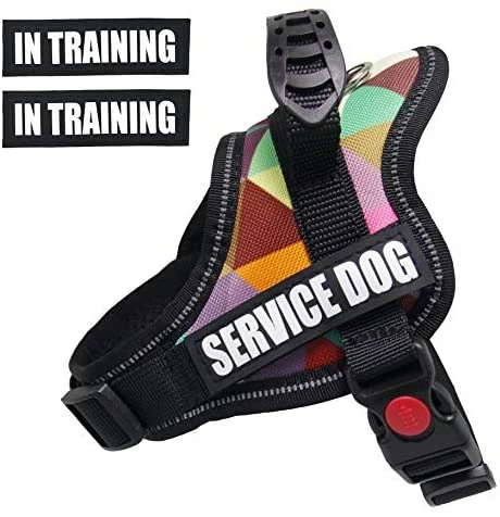 Top 10 โจ Mia's Pet Supply Dihapet ๐ Dog Harness, Service ๐ Dog Vest ๐คฉ 16 Mia's Pet Supply Dihapet Dog Harness, Service Dog Vest