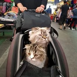 Hot Sale ๐ Mia's Pet Supply Travel : Ibiyaya 5 In 1 Pet Carrier + ๐ Backpack + Car Seat + Pet Carrier Stroller + Carriers With Wheels For ๐ฆฎ Dogs And Cats All In ONE (Brown) : Pet Supplies ๐ 19 Mia's Pet Supply Travel : Ibiyaya 5 In 1 Pet Carrier + Backpack + Car Seat + Pet Carrier Stroller + Carriers With Wheels For Dogs And Cats All In ONE (Brown) : Pet Supplies