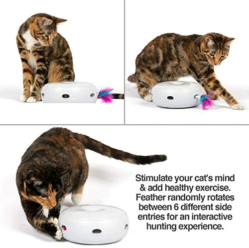 Coupon ⭐ Mia's Pet Supply Cat Toys PetFusion Ambush Interactive Electronic Cat Toy 🔔 3 Mia's Pet Supply Cat Toys PetFusion Ambush Interactive Electronic Cat Toy