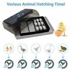 Mia's Pet Supply Mini Egg Incubator 12-35 Eggs Digital Full Automatic Poultry Hatcher Machine