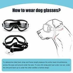 Mia's Pet Supply Apparel PEDOMUS Dog Sunglasses Dog Goggles Adjustable Strap For Travel