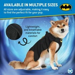 Promo 🛒 Mia's Pet Supply DC Comics For Pets Batman 🦮 Dog Harness 😍 11 Mia's Pet Supply DC Comics For Pets Batman Dog Harness