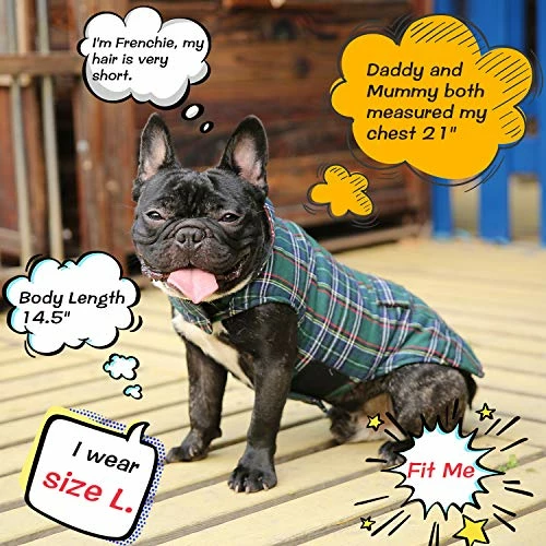 Best Sale 😉 Mia's Pet Supply Apparel KAMA BRIDAL Plaid 🐶 Dog Fleece Vest, Reversible Warm 🐶 Dog Clothes, 🥰 15 Mia's Pet Supply Apparel KAMA BRIDAL Plaid Dog Fleece Vest, Reversible Warm Dog Clothes,