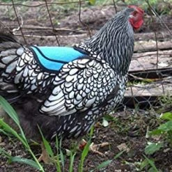 Mia's Pet Supply DOWN UNDER OUTDOORS Premium Chicken Saddle