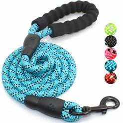 Cheapest 🎁 Mia's Pet Supply Strong 🐕 Dog Leash With Comfortable Padded Handle Leashes And Harness 👍 22 Mia's Pet Supply Strong Dog Leash With Comfortable Padded Handle Leashes And Harness