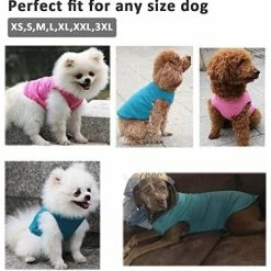 Mia's Pet Supply Apparel WEONE Dog Summer T-Shirts Striped Cotton Vest