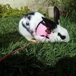 Mia's Pet Supply Rabbit Houses & Accessories Multipurpose Rabbits Hamster Vest Harness