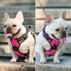 New 😉 Mia's Pet Supply PoyPet No Pull 🦮 Dog Harness, No Choke Front Lead 🦮 Dog Reflective Harness Leashes And Harness 🔔 24 Mia's Pet Supply PoyPet No Pull Dog Harness, No Choke Front Lead Dog Reflective Harness Leashes And Harness