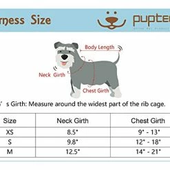 Mia's Pet Supply : PUPTECK Soft Mesh Tiny Dog Harness Padded Paid Design Leashes And Harness
