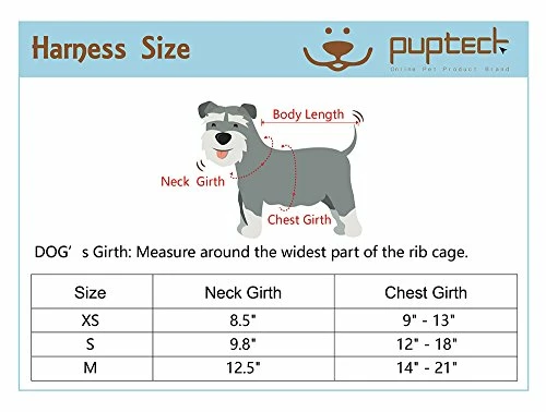 Deals โค๏ธ Mia's Pet Supply : PUPTECK Soft Mesh Tiny ๐ Dog Harness Padded Paid Design Leashes And Harness ๐ 2 Mia's Pet Supply : PUPTECK Soft Mesh Tiny Dog Harness Padded Paid Design Leashes And Harness