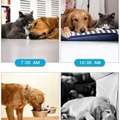 Promo 🥰 Mia's Pet Supply Training IMILLET WiFi Pet Camera 🐶 Dog Camera With Phone App FHD 👍 13 Mia's Pet Supply Training IMILLET WiFi Pet Camera Dog Camera With Phone App FHD