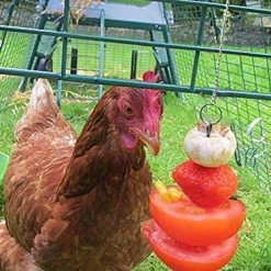 Mia's Pet Supply Vehomy Chicken Veggies Skewer Fruit Holder For Hens