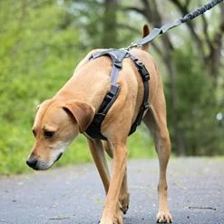 Mia's Pet Supply Leashes And Harness Tuff Mutt Dog Harness For Medium & Large Breeds, Easy On Easy Off