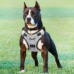 Mia's Pet Supply : Babyltrl Silver Big Dog Harness No-Pull Anti-Tear Adjustable Leashes And Harness