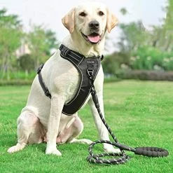 Mia's Pet Supply Leashes And Harness TobeDRI No Pull Dog Harness Adjustable Reflective Oxford Easy Control