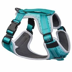Mia's Pet Supply Embark Sports Dog Harness, Light And Breathable Design
