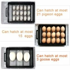 Promo 🎁 Mia's Pet Supply Egg Incubators With Automatic Egg Turning Turner For Hatching Turkey Goose Quail 🎁 12 Mia's Pet Supply Egg Incubators With Automatic Egg Turning Turner For Hatching Turkey Goose Quail