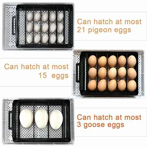 Promo 🎁 Mia's Pet Supply Egg Incubators With Automatic Egg Turning Turner For Hatching Turkey Goose Quail 🎁 5 Mia's Pet Supply Egg Incubators With Automatic Egg Turning Turner For Hatching Turkey Goose Quail
