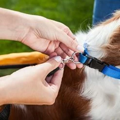 Mia's Pet Supply Schwinn Rascal Bike Pet Trailer, For Small And Large Dogs, Small, Orange