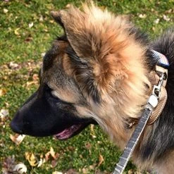 Mia's Pet Supply Dog Collar With Control Handle