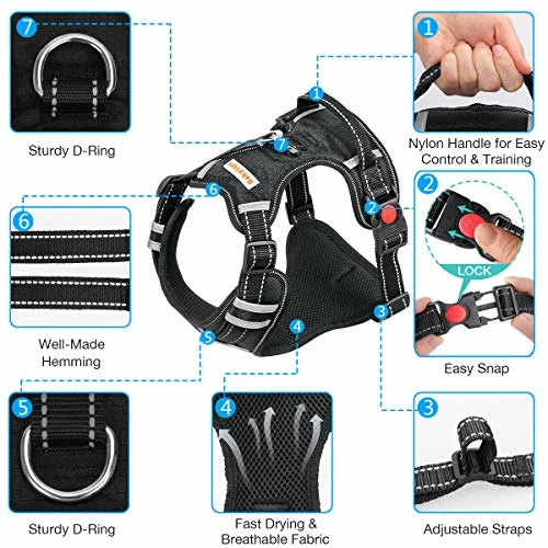 Buy β Mia's Pet Supply : Babyltrl Big πΆ Dog Harness No-Pull Adjustable Leashes And Harness π 2 Mia's Pet Supply : Babyltrl Big Dog Harness No-Pull Adjustable Leashes And Harness