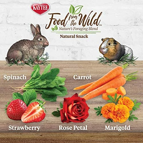 New 😍 Mia's Pet Supply Kaytee Food From The Wild Natural Snack Rabbit Houses & Accessories ⭐ 2 Mia's Pet Supply Kaytee Food From The Wild Natural Snack Rabbit Houses & Accessories