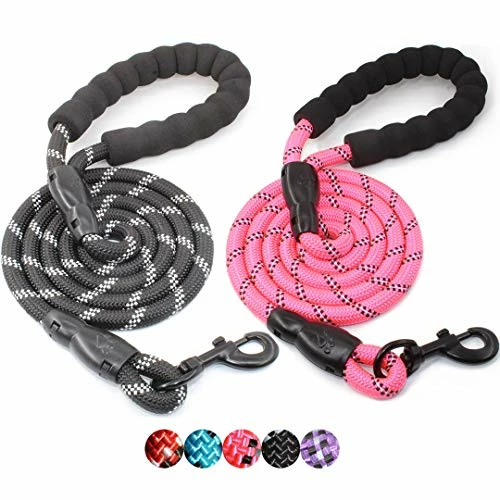 Cheapest 🎁 Mia's Pet Supply Strong 🐕 Dog Leash With Comfortable Padded Handle Leashes And Harness 👍 12 Mia's Pet Supply Strong Dog Leash With Comfortable Padded Handle Leashes And Harness