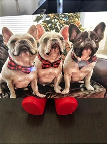 Promo ๐ Mia's Pet Supply Pet Soft & Comfy Bowtie ๐ฆฎ Dog And Cat Collar ๐ 3 Mia's Pet Supply Pet Soft & Comfy Bowtie Dog And Cat Collar