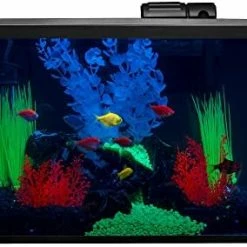 Mia's Pet Supply GloFish 20 Gallon Aquarium Kit With LED Lights, Decor Heater And Filter Fish Products
