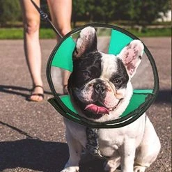 Cheap 🤩 Mia's Pet Supply ProCollar Pet Recovery Cone E-Collar 🔥 12 Mia's Pet Supply ProCollar Pet Recovery Cone E-Collar