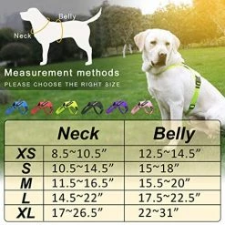 Best deal 🎉 Mia's Pet Supply Leashes And Harness NOYAL In Training 🐶 Dog Harness, Soft Breathable Mesh 🐶 Dog Vest Harness 🛒 14 Mia's Pet Supply Leashes And Harness NOYAL In Training Dog Harness, Soft Breathable Mesh Dog Vest Harness