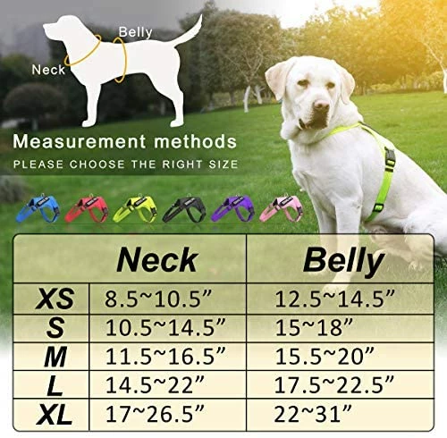 Best deal 🎉 Mia's Pet Supply Leashes And Harness NOYAL In Training 🐶 Dog Harness, Soft Breathable Mesh 🐶 Dog Vest Harness 🛒 3 Mia's Pet Supply Leashes And Harness NOYAL In Training Dog Harness, Soft Breathable Mesh Dog Vest Harness